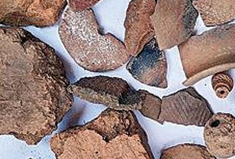 காளையார்கோவிலில் பாண்டி யன் கோட்டையில் கண்டறியப்பட்ட கீறல் குறியீடுகளுடன் உள்ள பானை ஓடு.