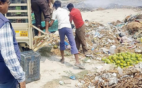 ஆறுமுகநேரியில் பறிமுதல் செய்யப்பட்ட தரமற்ற மாம்பழங்கள் குப்பைக் கிடங்கில் கொட்டி அழிக்கப்பட்டன.