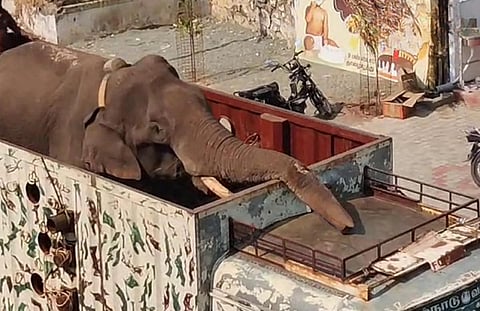 படங்கள்: மு.லெட்சுமி அருண்