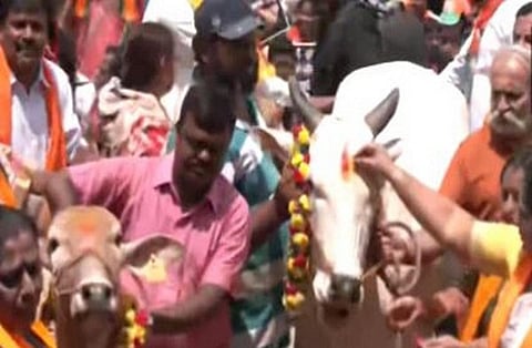 கர்நாடக அமைச்சரின் பேச்சால் சர்ச்சை - பசுக்களுடன் பாஜக போராட்டம்