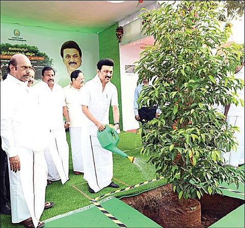 கருணாநிதியின் நூற்றாண்டு விழாவையொட்டி, 5 லட்சம் மரக்கன்றுகள் நடும் திட்டத்தை, முதல்வர் மு.க.ஸ்டாலின் சென்னை, கிண்டியில் உள்ள நெடுஞ்சாலை ஆராய்ச்சி நிலைய வளாகத்தில், மரக்கன்றை நட்டு வைத்துதொடங்கி வைத்தார். அமைச்சர்கள் துரைமுருகன், கே.என்.நேரு, எ.வ.வேலு உள்ளிட்டோர் உடனிருந்தனர்.