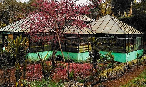 கொடைக்கானல் பிரையன்ட் பூங்காவில் உள்ள கண்ணாடி மாளிகை.