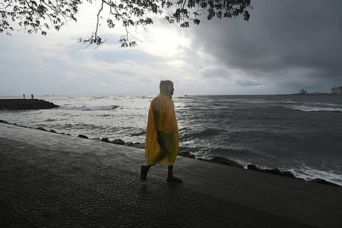 புகைப்படம் | துளசி கக்கட்