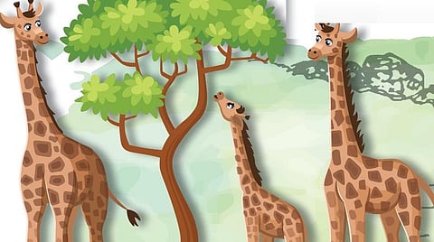 விடை தேடும் அறிவியல் 08: தாவரங்கள் பேசிக்கொள்ளுமா?