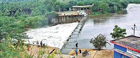 தடையை மீறி கொட்டப்படும் தோல் கழிவுகளால் பாழாகும் பாலாறு - மெல்ல மாறுது நீண்ட நெடிய வரலாறு!