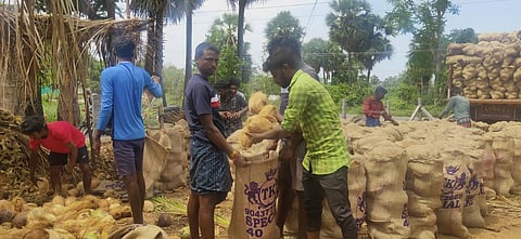 ஜலகண்டாபுரம் மண்டியில் தேங்காய் உரிக்கும் பணியில் ஈடுபட்டுள்ள தொழிலாளர்கள்