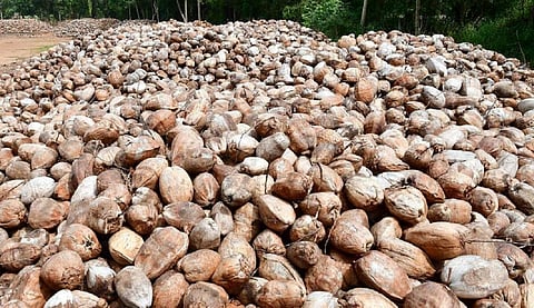 கோப்புப் படம்