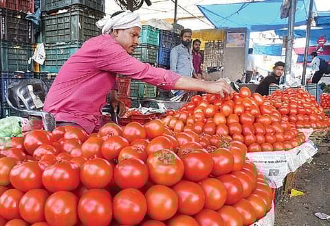நிலமும் வளமும் | தக்காளி விலை உயர்வு முதல் கோடை உழவு வரை