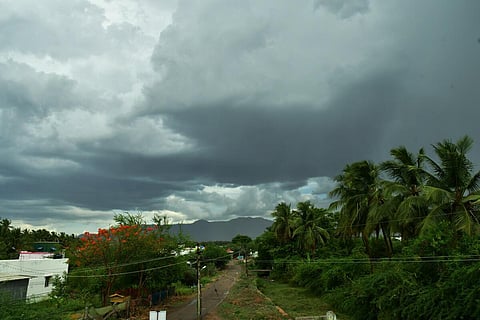 தமிழகத்தில் 16 மாவட்டங்களில் இன்று கனமழை - வானிலை ஆய்வு மையம் தகவல்