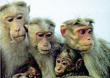 கதை கேளு கதை கேளு - 30 | கதவை திறங்கள் அவை உள்ளே வரட்டும்!