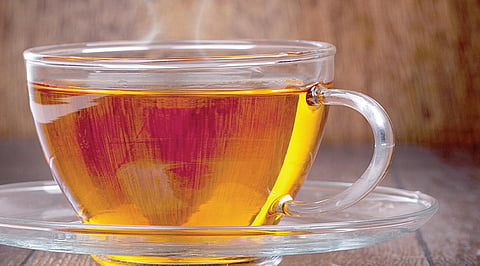 கனியும் கணிதம் - 24 | கடந்து வந்த கணித பாதை