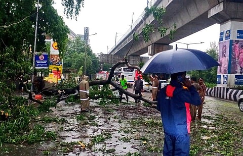 மரங்களை அகற்றும் பணியில் சென்னை மாநகராட்சி பணியாளர்கள்