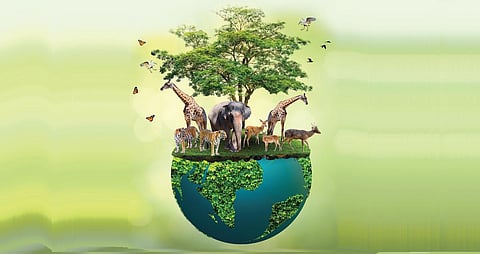 புதிய தொடர்; பூ பூக்கும் ஓசை - 1: இயற்கையின் தாளம்