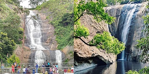 தொடர் மழையால் கொடைக்கானலில் தண்ணீர் கொட்டும் அருவிகள்