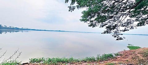 சதுப்பு நிலமாக அறிவிக்கப்பட உள்ள 5 ஏரிகளில் ஒன்றான பாகூர் ஏரி.