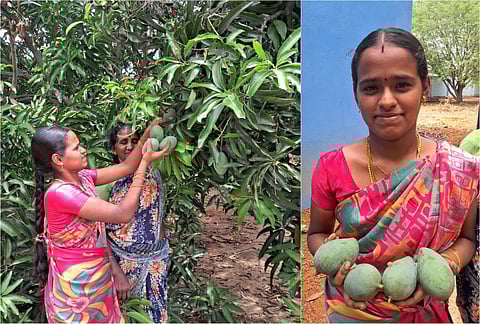 மாங்குளத்தில் விவசாயி ஹேமாதர்ஷினி.