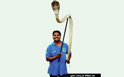 10,000 பாம்புகளை பிடித்த அதிசய மனிதர் சினேக் சகா!