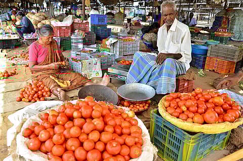 படம்: நா.தங்கரத்தினம்