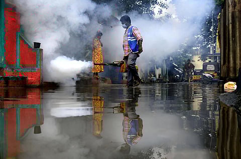 கல்வி நிறுவனங்களில் டெங்கு பரவலை தடுக்க நடவடிக்கை - பொது சுகாதாரத் துறை இயக்குநர் அறிவுறுத்தல்