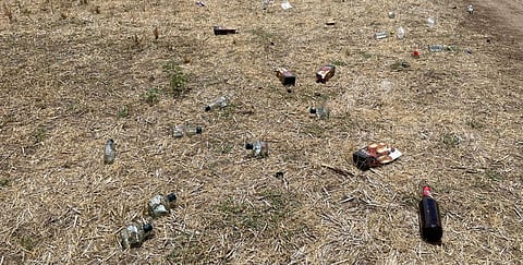 பழநி காரமடை பகுதியில் உள்ள விளைநிலத்தில் கிடந்த மதுபாட்டில்கள்.