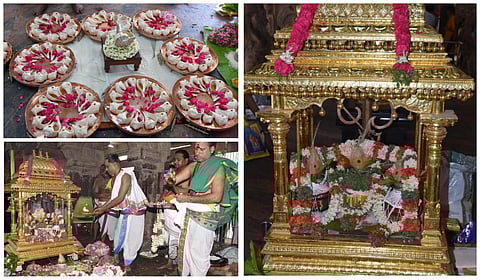 உலக நலன் வேண்டி பழநி முருகன் கோயிலில் 108 சங்காபிஷேகம், அன்னாபிஷேகம் வழிபாடு நடந்தது