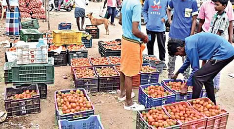 ஈரோடு வ.உ.சி. மைதானத்தில் செயல்படும் நேதாஜி காய்கறிச்சந்தையில் விற்பனைக்கு கொண்டு வரப்பட்ட தக்காளியை பார்வையிடும் பொதுமக்கள்.