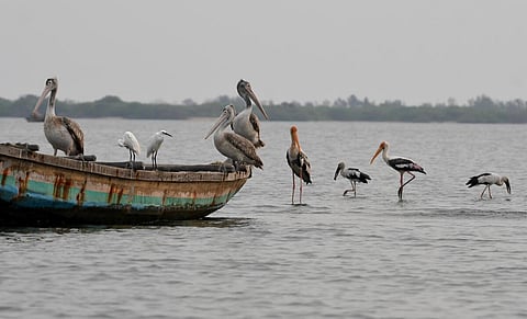 படங்கள்: பி.ஜோதி ராமலிங்கம்