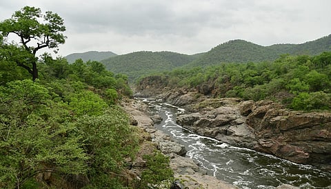 மேகேதாட்டு அணை தொடர்பாக கர்நாடக துணை முதல்வர் பேச்சு - ஓபிஎஸ், ஜி.கே.வாசன், டிடிவி தினகரன் கண்டனம்