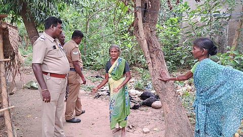 தஞ்சாவூர்: 6 ஆட்டுக் குட்டிகள், 4 ஆடுகள் மர்மமான முறையில் உயிரிழப்பு