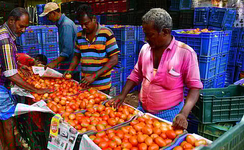 ரேஷன் கடைகளுக்கு இணையாக பசுமைப் பண்ணைக் கடைகளைத் திறக்க வேண்டும்: தினகரன் யோசனை