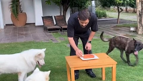 “உங்களின் அன்பான வாழ்த்துகளுக்கு நன்றி” - தோனி பகிர்ந்த வீடியோ