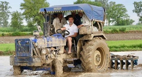 ஹரியாணாவில் டிராக்டர் ஓட்டிய ராகுல் காந்தி