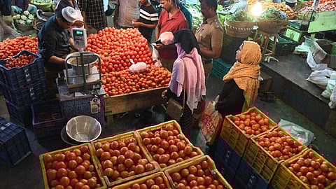 குறைந்த விலையில் தக்காளி விற்பனை: மதுரையில் தோட்டக்கலைத் துறை தொடக்கம்