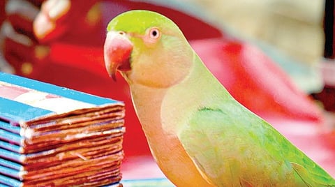 கதைக் குறள் 33: பிறப்பால் எல்லோரும் சமம்