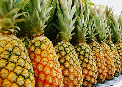 கோப்புப்படம்