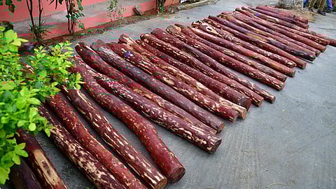 கோப்புப்படம்