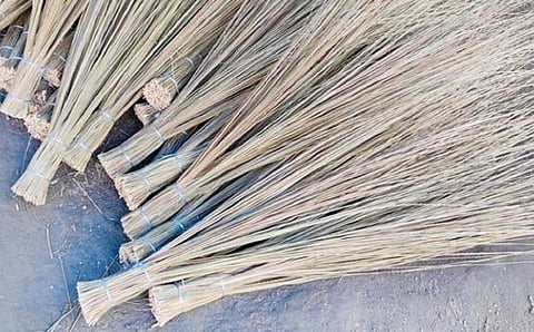 இந்தோனேசியா துடைப்பத்துக்கு மவுசு - வடமாநிலங்களுக்கு செல்லும் தமிழக துடைப்பம் 70% சரிவு