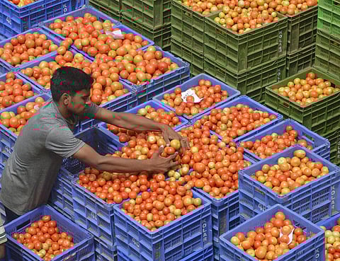 தக்காளி விலை மீண்டும் அதிகரிப்பு: கோயம்பேடு சந்தையில் கிலோவுக்கு ரூ.30 உயர்ந்து ரூ.140-க்கு விற்பனை