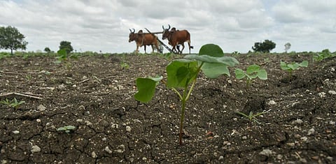 சேலம், நாமக்கல், ஈரோடு, தருமபுரியில் இயல்பை விட குறைவாக பெய்த மழை: விவசாயிகள் கவலை