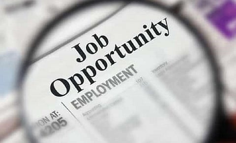 இந்தியாவும் அதன் மாநிலங்களும் | டேட்டா ஸ்டோரி: வேலைவாய்ப்பு