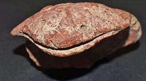 கீழடி அகழாய்வில் அரிதான சுடுமண் பாம்பு தலை உருவம் கண்டெடுப்பு