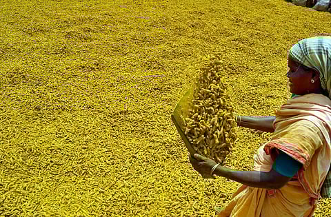 மஞ்சள் குவிண்டால் ரூ.15,422-க்கு விற்பனை: மகிழ்ச்சியில் ஈரோடு விவசாயிகள்