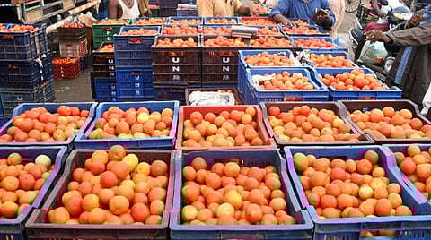 நேபாளத்தில் இருந்து தக்காளி கொள்முதல் - சராசரியாக கிலோ விலை ரூ.100 ஆக குறைந்தது