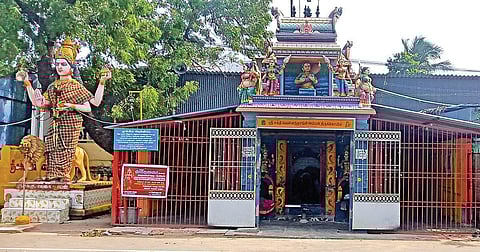 வேண்டிய வரம் தரும் வெள்ளந்தாங்கி அம்மன்!