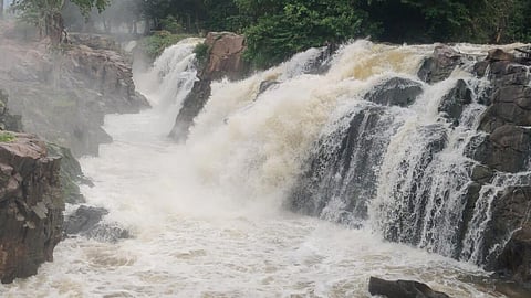 ஒகேனக்கல்லில் நீர்வரத்து 14,000 கனஅடியாக உயர்வு