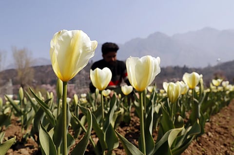 கோப்புப்படம்