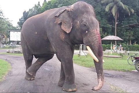 படம்: ட்விட்டர்