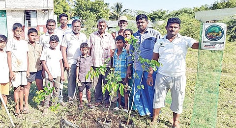 விருதுநகர் அருகே சந்திரகிரிபுரத்தில் 3 ஆயிரமாவது மரக்கன்றை நடவு செய்த ‘ஆலமரம்’ அமைப்பினர்.