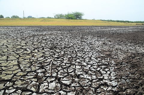 நெல்லை மாவட்டத்தில் 99% குளங்கள் வறண்டன - அணைகளில் நீர் இருப்பு கவலைக்கிடம்
