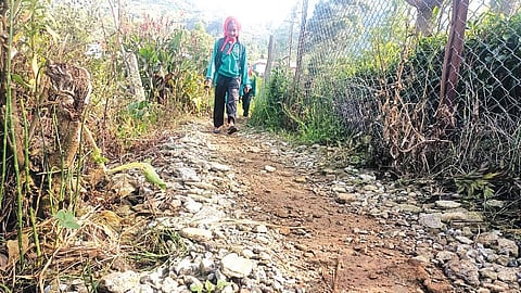 விலங்குகள் அச்சுறுத்தல் உள்ள நிலையில் குறுகலான பாதை வழியாக பள்ளிக்கு செல்லும் குழந்தை.